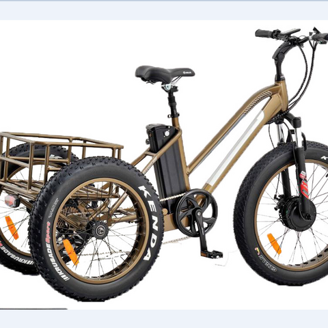 Nogironlar Aravachasi Velo