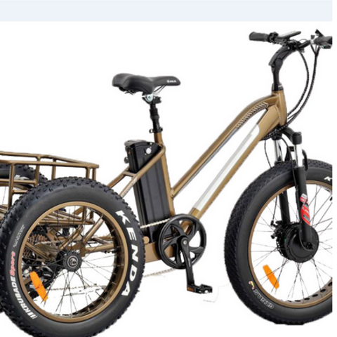 Velosapet Katta {qora}