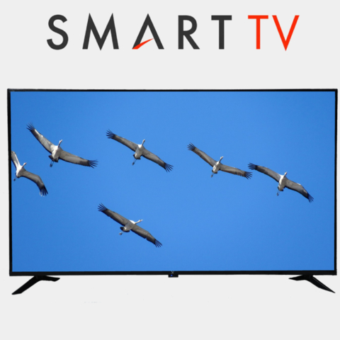 Televezor Artel { 43 }  android